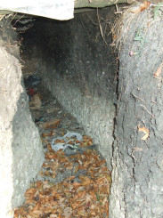 10615412_10205342458667211_2677102295310214568_n