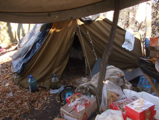 1523449_10205342417546183_2704556243212176212_o